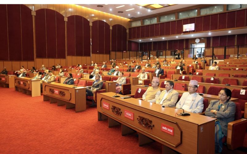 राष्ट्रियसभाबाट नीति तथा कार्यक्रम पारित