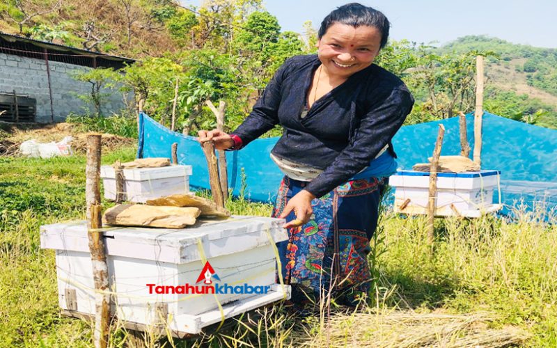 चुनाव हारेपछि सफलतातर्फ लम्किएकी ममिता