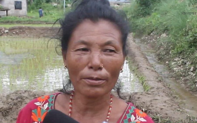 वनकरियाको फेरिएको जीवनशैली